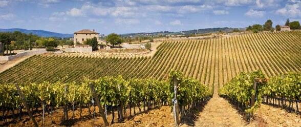 Tour privado para una degustación de vino en Toscana