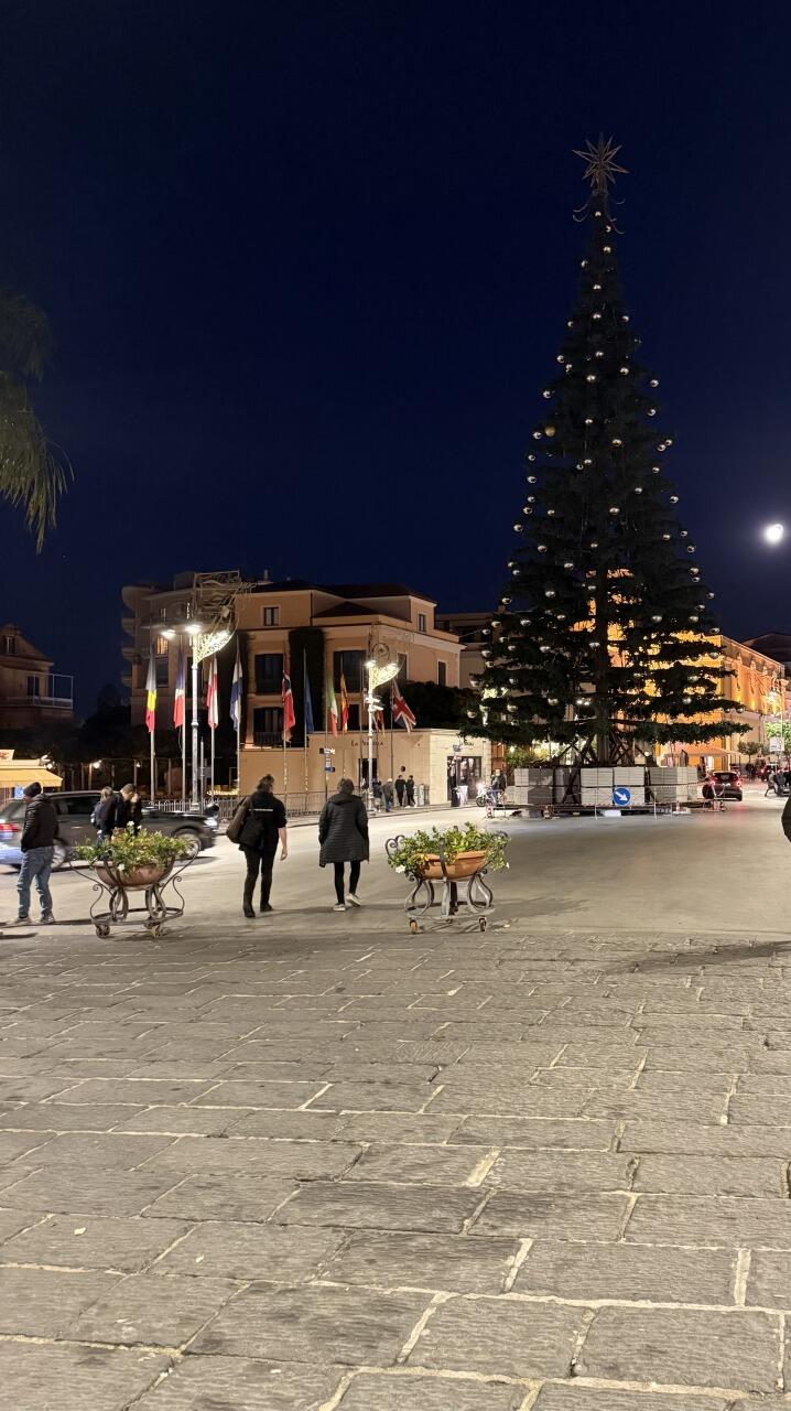 Sorrento local news Christmas tree lightning