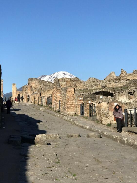 Tour privado a Pompeya, Herculano y Vesubio oferta especial-13
