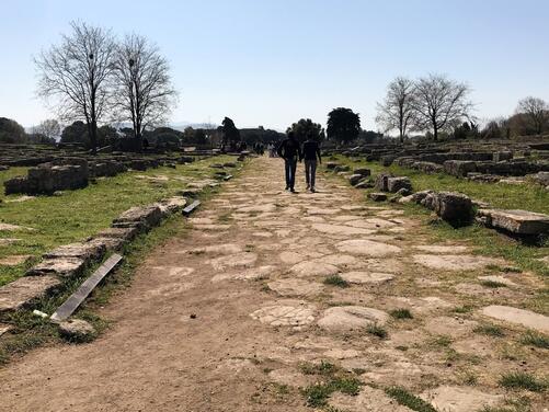 Paestum y la fábrica de queso de Búfalo Venullo-8