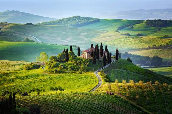 Tour para Degustar los Vinos de la Toscana (Greve en Chianti)-4