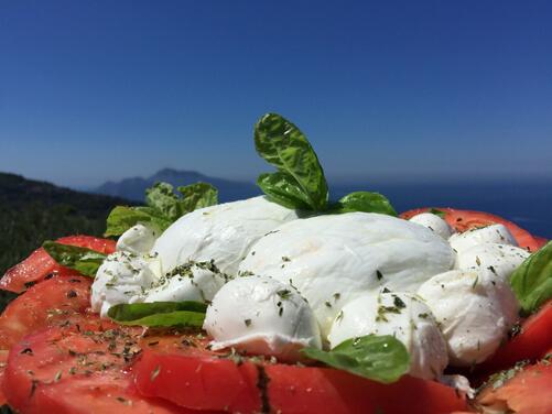 Paestum y la fábrica de queso de Búfalo Venullo