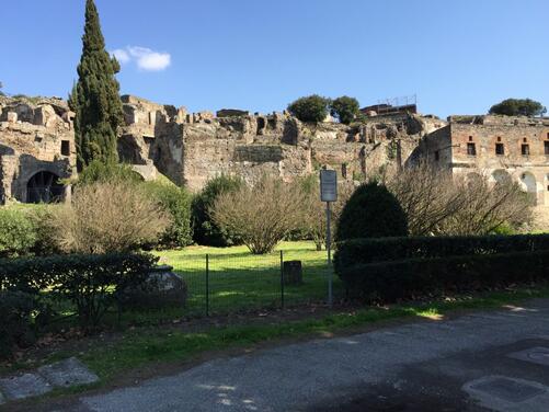 Tour privado a Pompeya, Herculano y Vesubio oferta especial-10
