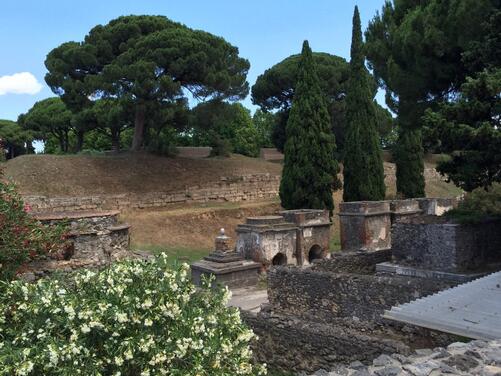 Tour privado a Pompeya, Herculano y Vesubio oferta especial-7