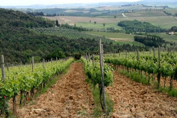 Greve in Chianti